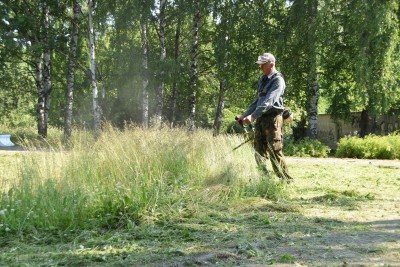Твери нужно больше рабочих для выкашивания газонов - Новости ТИА