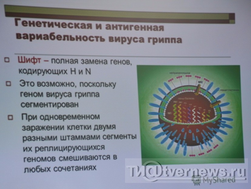 <strong>Автор: ТИА</strong><p></p>