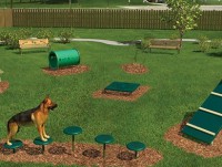 Во Ржеве жители хотят построить площадку для выгула собак - новости ТИА