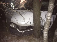 В Тверской области микроавтобус врезался в дерево, пострадали 13 человек - Новости ТИА