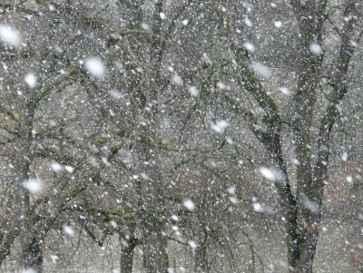 Барическая "пила" и сильнейший мокрый снегопад ожидаются в Тверской области - Новости ТИА