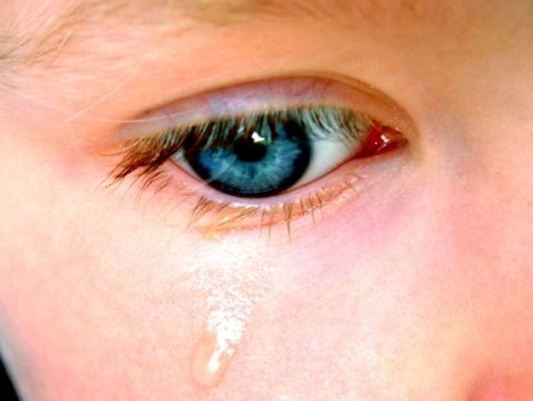 <p></p>