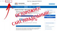 Во время пандемии активизировались мошеннические сайты-двойники госуслуг - Новости ТИА