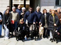 В Бергамо жители выйдут на улицы города с собаками для участия в марше «Corri Dog» - новости ТИА