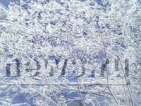 Тверскую область засыплет снегом и зальет дождем - Новости ТИА