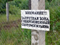 Семь необорудованных скотомогильников в Конаковском районе угрожают здоровью жителей  - Новости ТИА