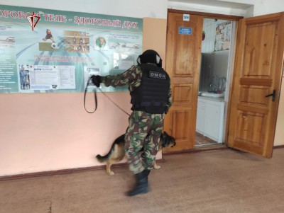 Бойцы ОМОНа со служебными собаками обследуют помещения для голосования - новости ТИА