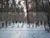 В Тверской области ожидаются снег и мороз - новости ТИА