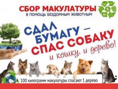 В Твери будут собирать макулатуру в помощь бездомным животным - Новости ТИА