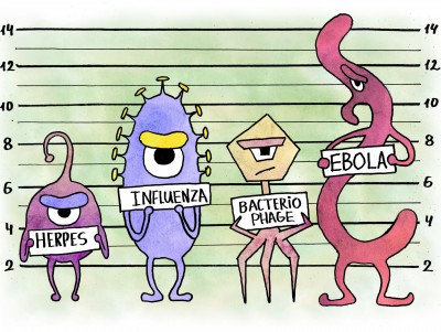 Минздрав: через кальян передаются коронавирус, туберкулёз и холера - Новости ТИА