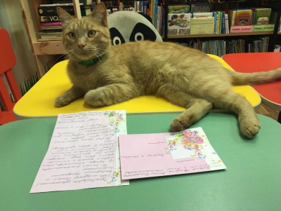 Известного библиотечного кота Степана застрелили из-за соседских разборок  - новости ТИА