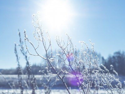 Солнце – на лето, зима – на мороз: наступил день зимнего солнцестояния - новости ТИА