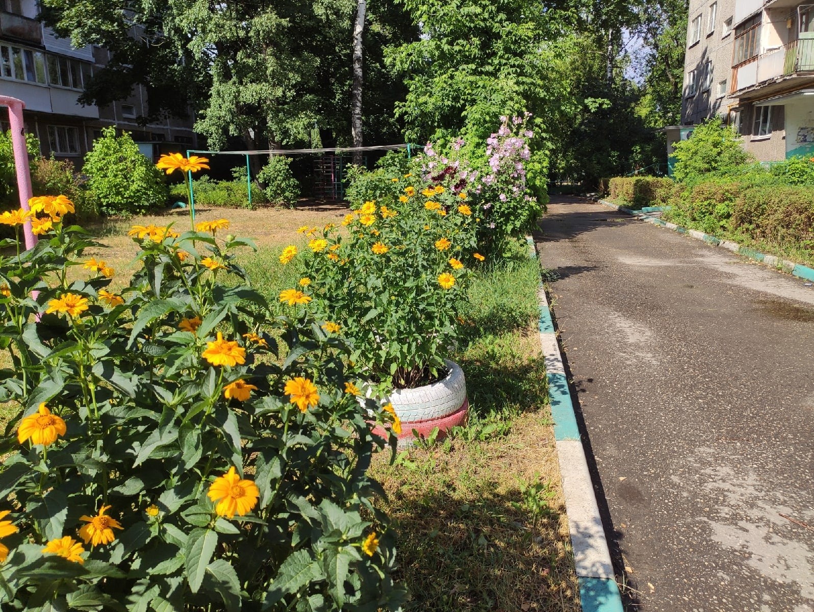 В Твери наградили создателей красивых цветников во дворах | 13.07.2022 |  Тверь - БезФормата