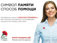 Жителей Тверской области просят помочь ветеранам и принять участие в акции "Красная гвоздика" - новости ТИА