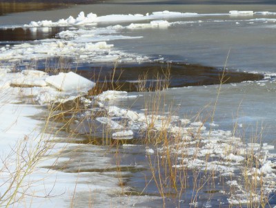 Вода в реке Обша в городе Белый Тверской области продолжает прибывать - Новости ТИА
