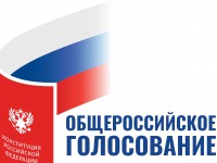Дату голосования за поправки в Конституцию могут перенести на июнь - Новости ТИА