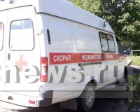 Женщина с ребенком получили тяжелые травмы в ДТП с лосем на трассе в Тверской области - Новости ТИА