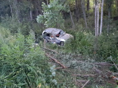 В Тверской области в ДТП с деревом погибла молодая женщина - Новости ТИА