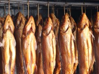 В Осташкове осудили мужчин за торговлю копчёной рыбой с кишечной палочкой - Новости ТИА