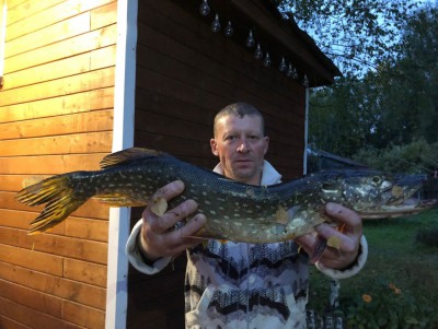 В Тверской области на выборы пришел рыбак с уловом - новости ТИА