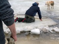 Тверской карикатурист в свой День рождения спас собаку со льдины - Новости ТИА
