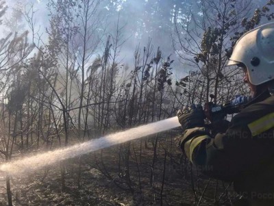 В МЧС сообщили, что пожар не угрожает деревне Люшино Калининского района  - Новости ТИА