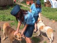 Тверские спасатели помогли приюту для бездомных животных - Новости ТИА