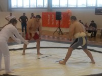 В Осташкове прошли Первенство и Чемпионат Тверской области по сумо - Новости ТИА