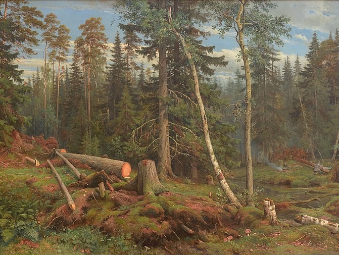 <p></p>