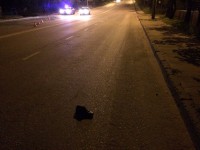 В Твери девушка-водитель сбила 35-летнего мужчину - Новости ТИА