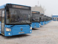 Правительство области: при внедрении новой модели пассажирских перевозок в регионе создано около 1300 рабочих мест  - Новости ТИА