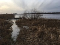 В Тверской области из воды достали тело ребёнка - новости ТИА