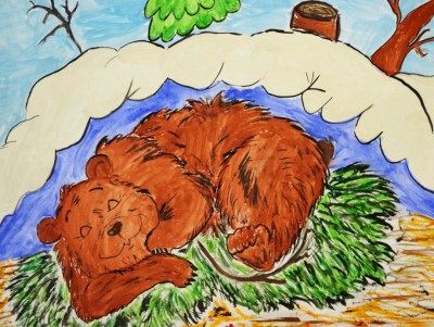Биологи рассказали, как спят и что делают зимой медведи в Тверской области - Новости ТИА