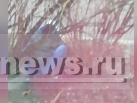 В Твери наркоман попал на видео, когда искал "закладку" - новости ТИА