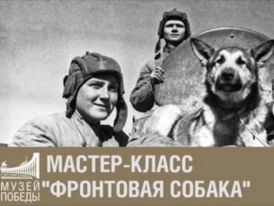 Музей Победы приглашает на онлайн-программу о подвигах фронтовых собак - Новости ТИА