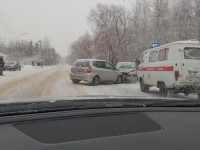 Объезжая собак женщина-водитель выехала на встречку и спровоцировала ДТП - Новости ТИА