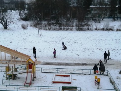 Под Тверью дети играли на площадке с трупом кота - Новости ТИА
