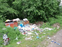 После публикации народной новости на ТИА проверяют организацию, занимающуюся вывозом мусора в Пеновском районе - Новости ТИА