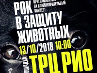В Твери пройдет благотворительный фестиваль "Рок в защиту животных" - Новости ТИА