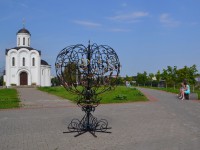 В Твери распустится "свадебное дерево" - Новости ТИА