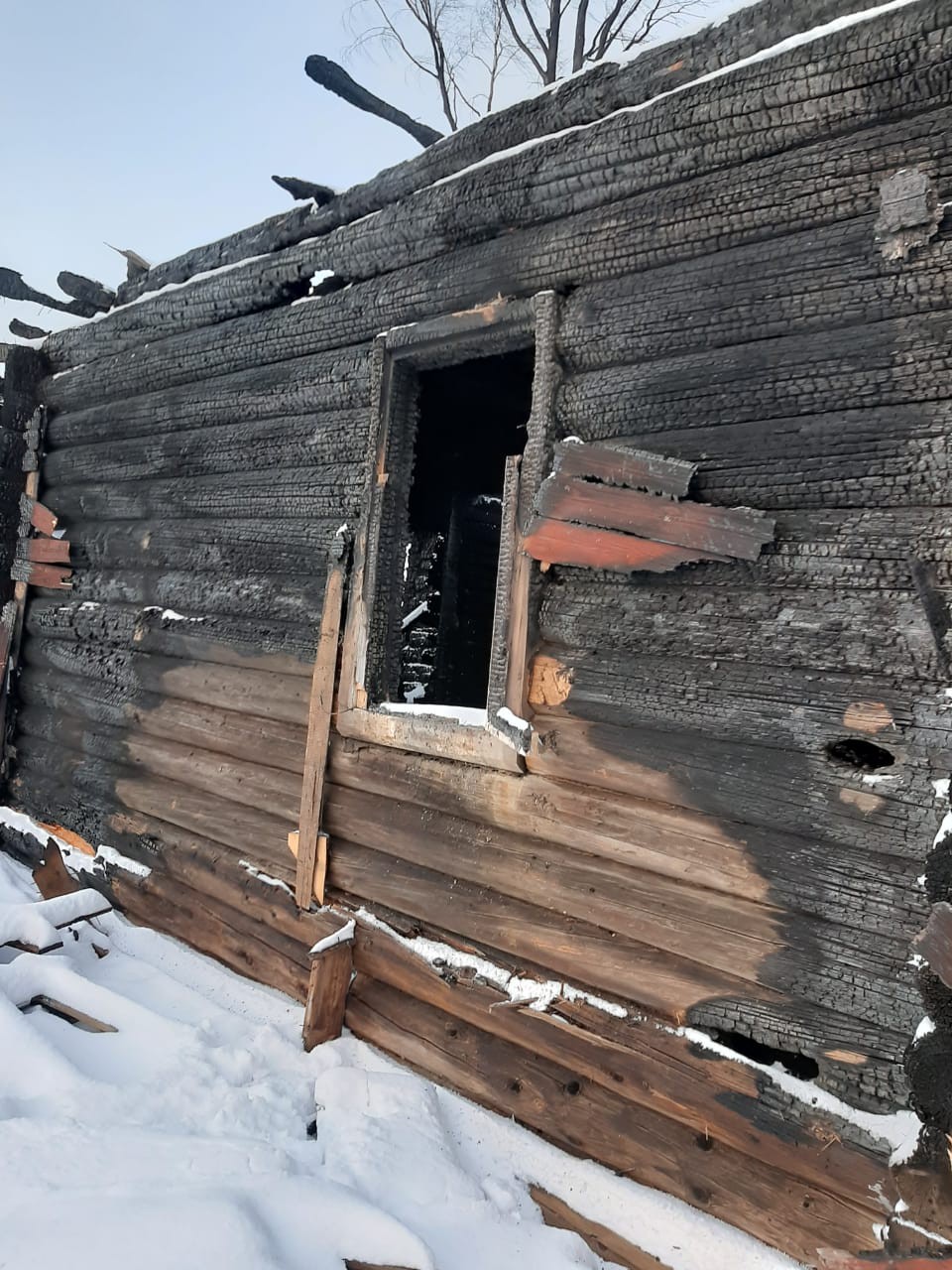 Многодетной семье погорельцев из Кувшиново предложили переехать в барак |  21.01.2022 | Тверь - БезФормата