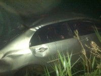В Тверской области иномарка врезалась в лося, животное погибло - Новости ТИА
