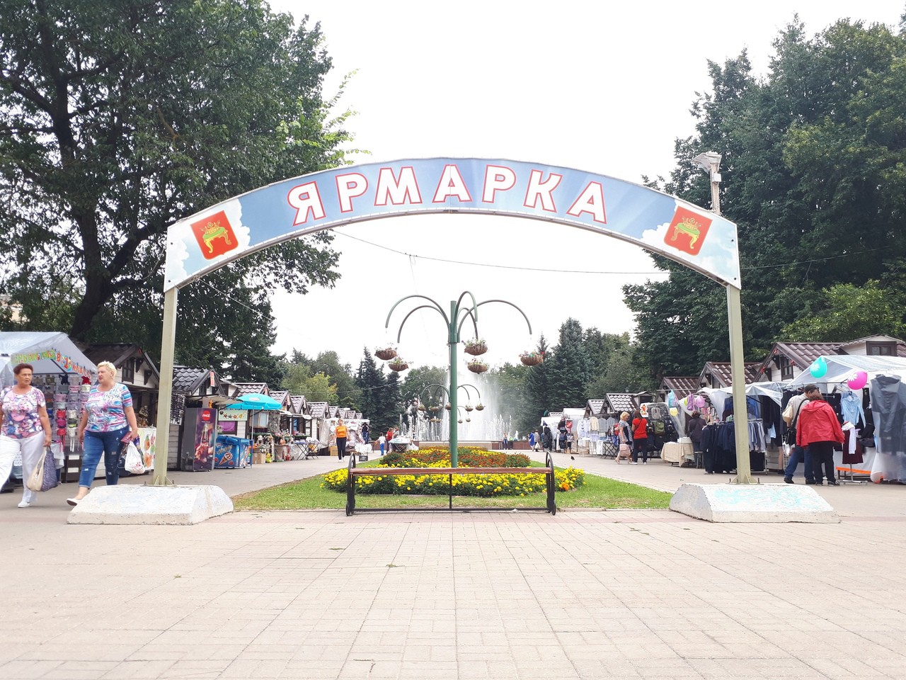 Салат кочанный берлинский желтый Салат кочанный берлинский желтый