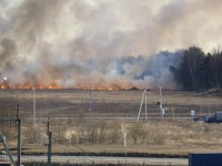 Трагедия в Тверской области: во время тушения горящей травы погиб 24-летний доброволец - новости ТИА