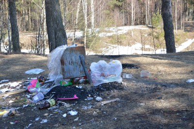 В Твери выявляют заваленные мусором участки в рощах  - новости ТИА