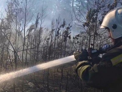 В Кимрском районе произошел пожар в лесу - новости ТИА