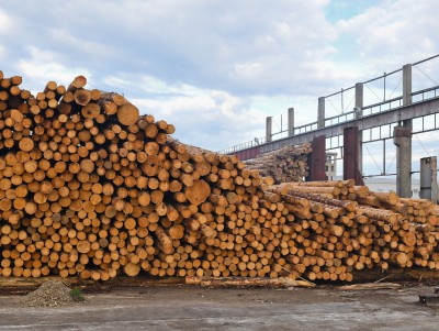 В Тверской области реализуют два крупных проекта в сфере деревообработки  - Новости ТИА