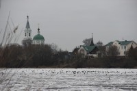 В Тверской области сильный ветер сменится потеплением - Новости ТИА