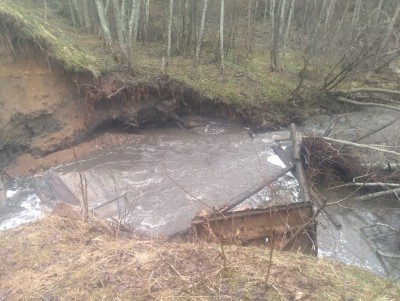 В Тверской области из-за украденных щитов прорвало плотину и погибла рыба   - Новости ТИА