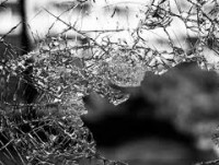 В Торжке девушка разбила стекла и проколола колёса у машины соперницы - новости ТИА